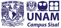 Campus Sisal - UNAM